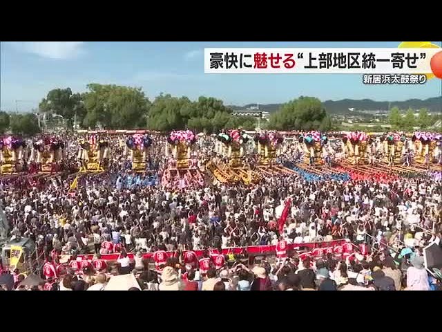 A joy to watch