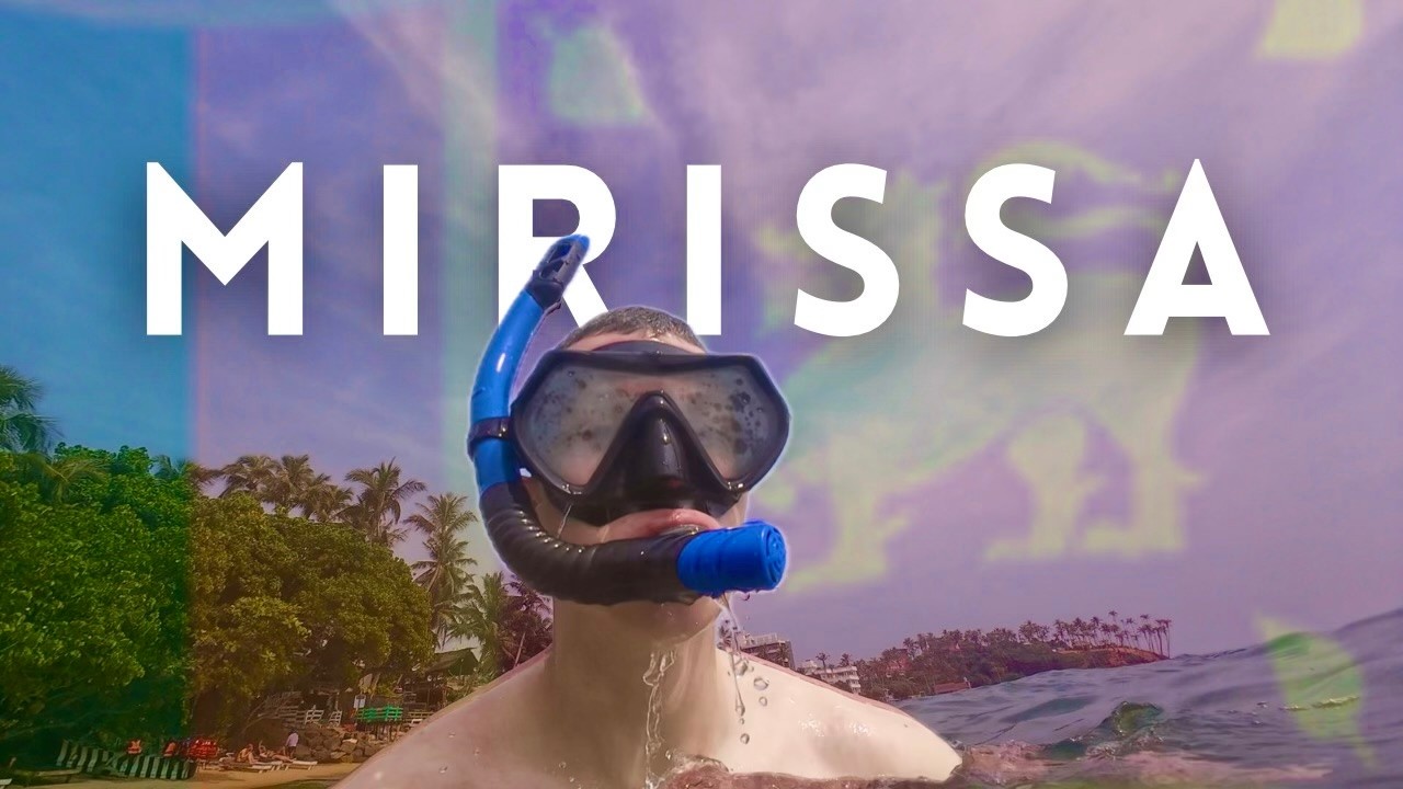 I went SNORKELING in SRI LANKA🇱🇰 + Parrot Rock & Coconut Tree Hill Sunset🌅 | Day 16