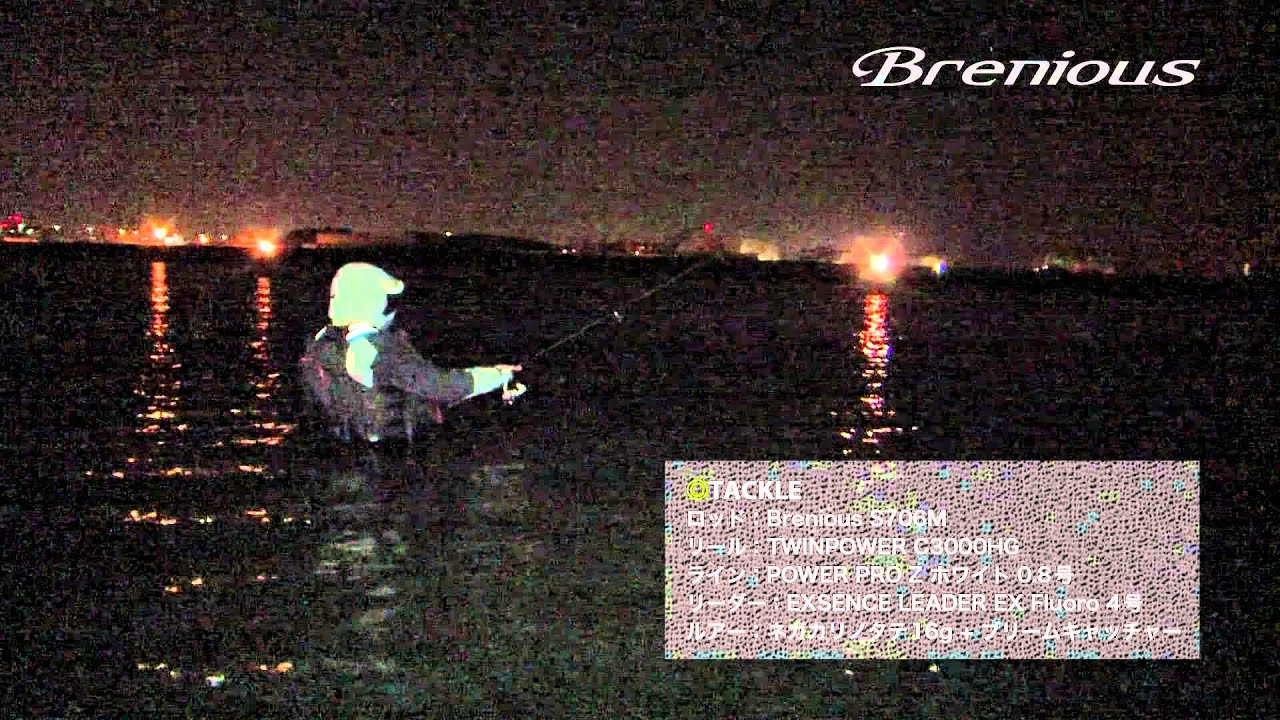 ブレニアスpvベイト スピニングで戦略的ブリームゲーム Shimano Tv