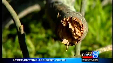 Falling tree limb kills 44-year-old man