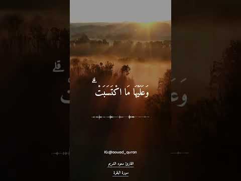 آمن الرسول بما أنزل إليه من ربه والمؤمنون تلاوة خاشعة بصوت الشيخ سعود الشريم 