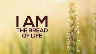 Jesus and Manna: What’s the difference between the Bread of Life and bread of heaven?