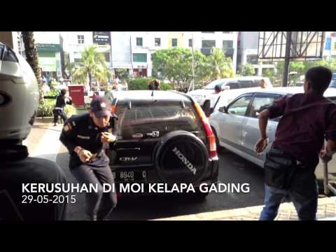 Gajah Ngamuk di Kota, Satu Sapi Jadi Korban Doovi Gajah Ngamuk di Kota, Satu Sapi Jadi Korban Doovi