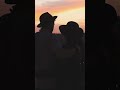 Թաթա Սիմոնյան - Անծանոթ աղջիկ (AI cover by` Marrlov3)