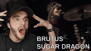 Metal musician REACTS to Brutus -Sugar Dragon