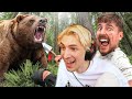 10000 every day you survive in the wilderness  xqc reacts to mrbeast