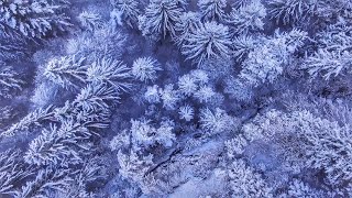 M2L2 - WinterWonderLand - Snowy landscape in Tirol