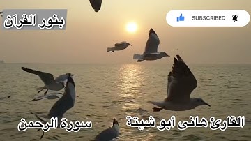 سورة الرحمن بصوت يهز القلوب القارئ هانى ابو شيتة