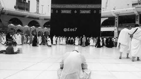 سورة الفجر بصوت إبراهيم محمد