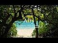 Airy【Composer: Naoya Matsuoka, Player: Mayumi Matsuoka】