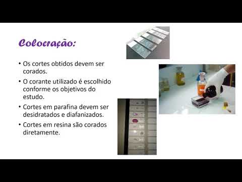 Vídeo: O que é montagem em histologia?