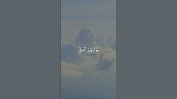 سورة يونس 30 | عبدالرحمن مسعد [قراءة 2023]