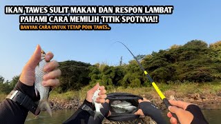 BANYAK CARA AGAR POIN IKAN TAWES!! Mancing wader dan tawes pakai teknik kumbul di Sungai Bogowonto