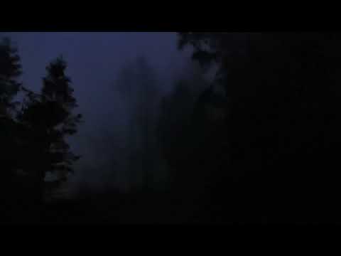 Limerence By Yves Tumor Slowed And Rain Version