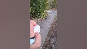 Raspberry Pi AI wildlife monitor test! #raspberrypi #ai #camera #wildlife