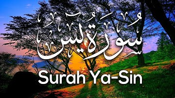 سورة ياسين (يس) تلاوة هادئة تريح القلب والعقل💙||  تلاوة هادئة تريح القلب والنفس 😴 Surah Yasin HD