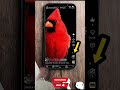 #smartphone