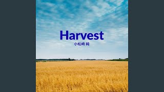 Harvest (Remix2025)