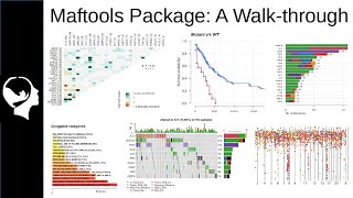 Cancer Somatic Mutation Analysis | MAFtools R Package