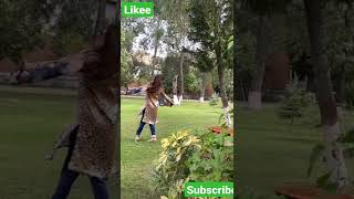 GUl PAnra Nice Short video laka marghae raprewatm gul panra song best tiktok short video 88899