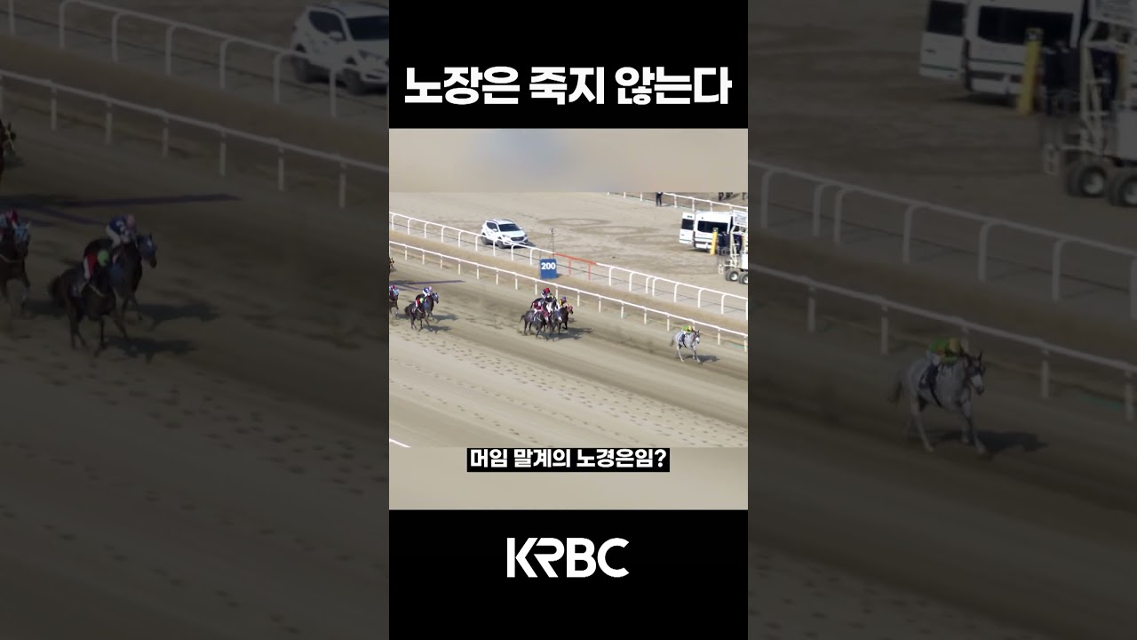 말계의 노경은 #shorts #경마방송 #기수 #경주마 #경마 #KoreaHorseRacing