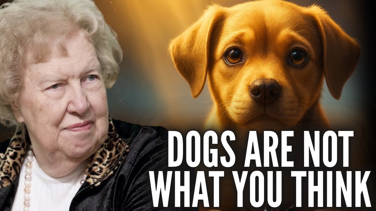 Dogs Are Not What You Think | A Spiritual Revelation by Dolores Cannon