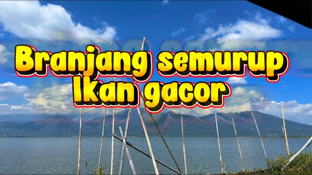 Mencari ikan nila !!! Branjang semurup RAWA PENING tempat pak bagas dapat ilmu sabar #alam #branjang