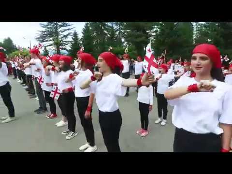 ფლეშმობი წალენჯიხაში