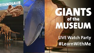 Giants of the American Museum of Natural History Tour