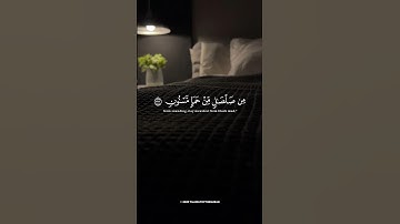 ✨🌿 تلاوة هادئة ومؤثرة بصوت الشيخ هزاع البلوشي | أرح سمعك وتطمئن روحك 🤍📖 #short #هزاع_البلوشي