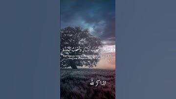 سورة الحشر | للقارئ علي جابر