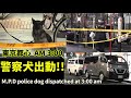 真冬の午前3時 警視庁警察犬出動 都心繁華街で事件捜査 MPD K 9 Police Dog Dispatched At 3 00 Am 真冬の午前3時 警視庁警察犬出動 都心繁華街で事件捜査 MPD K 9 Police Dog Dispatched At 3 00 Am