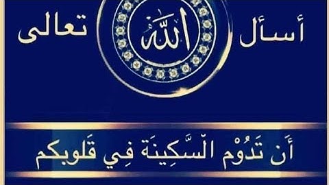 آيات من سورة الشورى.. من صلاة العشاء 