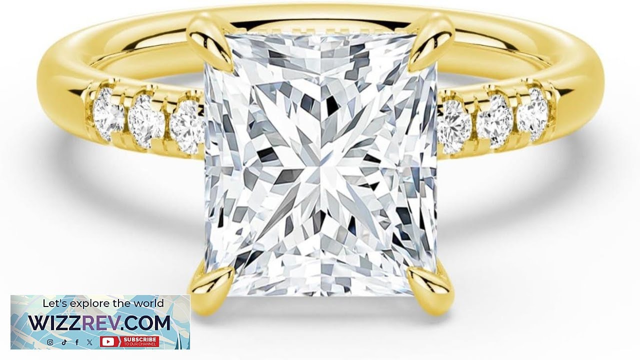 MSBLUE Moissanite Engagement Ring 14K Gold Vermeil Princess Cut with Accent Stones