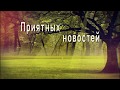 🎶💗ЖЕЛАЮ ХОРОШЕГО ДНЯ, ДОБРЫХ ВЕСТЕЙ И ПРИЯТНЫХ СОБЫТИЙ !🎶💗4К Оригинальное  пожелание