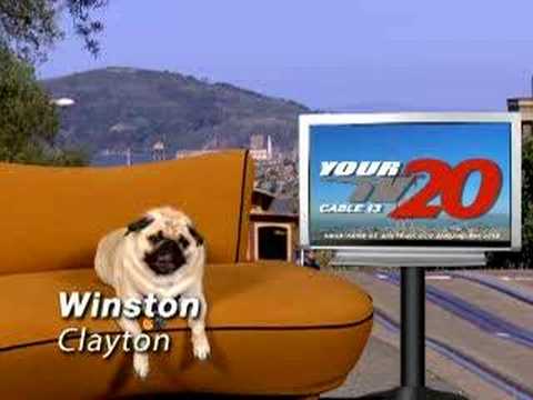 Your TV20 Dog ID - Winston, Clayton