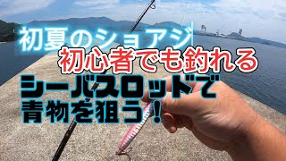 初夏2024年 長崎ショアジギング！ シーバスロッドでショアジギング