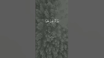 تلاوه خاشعه ارح قلبك وسمعك الشيخ ماهر المعيقلي