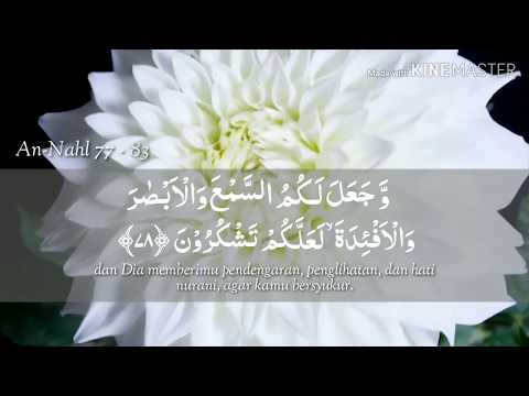 Surat An Nahl 77-83