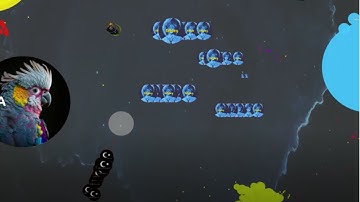 Agma.io Selffeed on redbull/EU