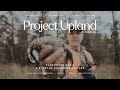 Southern Bobwhite Quail Hunting - Plantation Quail - A Project Upland Original Film