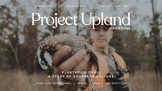 Southern Bobwhite Quail Hunting  Plantation Quail  A Project Upland Original Film