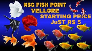 GUPPIES PAIR RS30 ONLY OFFER PRICE COLOUR WIDEO GOOD12 ONL #nsgfish #aquarium #vellore #aquariumshop