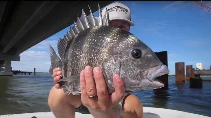 Sheepshead Fishing Tutorial - How to Catch Sheepshead Tips (Full Seminar)