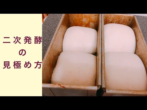 二次発酵終了の見極め方 フルーツ酵母 自家製天然酵母 パン教室 教室開業 大阪 奈良 東京 福岡 名古屋