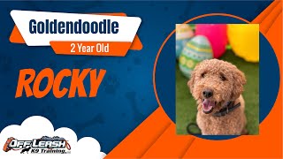 Rocky's Transformation: Mastering Obedience with Off Leash K9 North Georgia | Goldendoodle Genius by Off Leash K9 Training North Georiga 21 views 1 month ago 7 minutes, 9 seconds