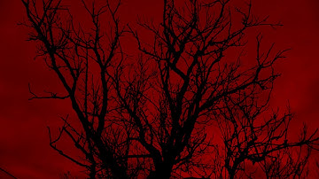 CONSECRATED DESPONDENCY - "Necromancy" - music video