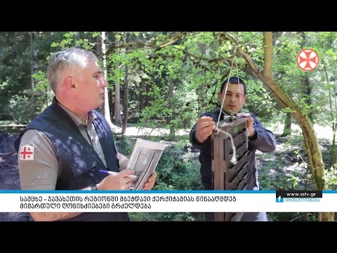 სამცხე – ჯავახეთის რეგიონში მბეჭდავი ქერქიჭამიას წინააღმდეგ მიმართული ღონისძიებები გრძელდება