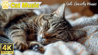 Healing music helps relax for cats😽 Soothing music with cat purring sounds by Music For Cats 1,464 views 3 weeks ago 23 hours