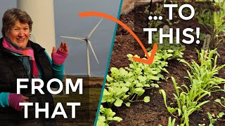 Energy to Grow Your Community and Your Garden